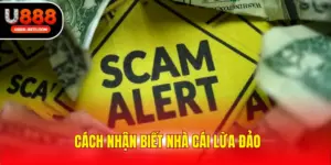 Cách nhận biết nhà cái lừa đảo